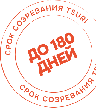 Срок созревания Tsuri — до 180 дней